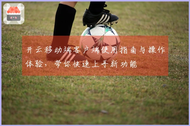 开云移动端客户端使用指南与操作体验，带你快速上手新功能