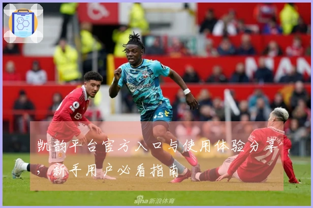 凯韵平台官方入口与使用体验分享，新手用户必看指南